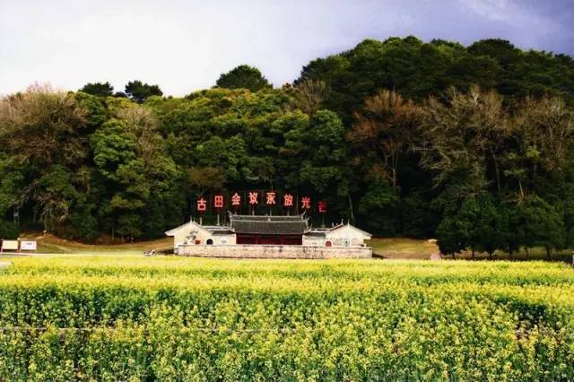 漳州到白水洋旅游团_漳州到白水洋旅游攻略_龙岩去白水洋旅游攻略