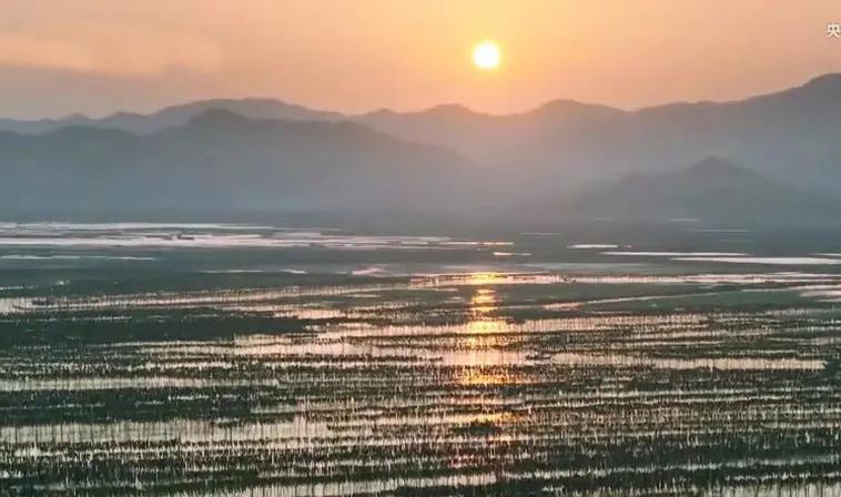 宁德霞浦旅游攻略_太姥山霞浦旅游攻略_霞浦旅游攻略自助游