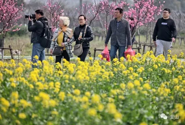 2015大理双廊旅游攻略_东江湖旅游攻略白廊_廊下生态园旅游攻略