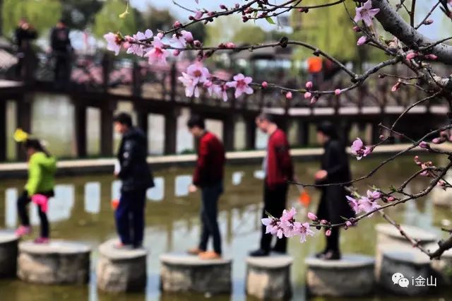 东江湖旅游攻略白廊_2015大理双廊旅游攻略_廊下生态园旅游攻略