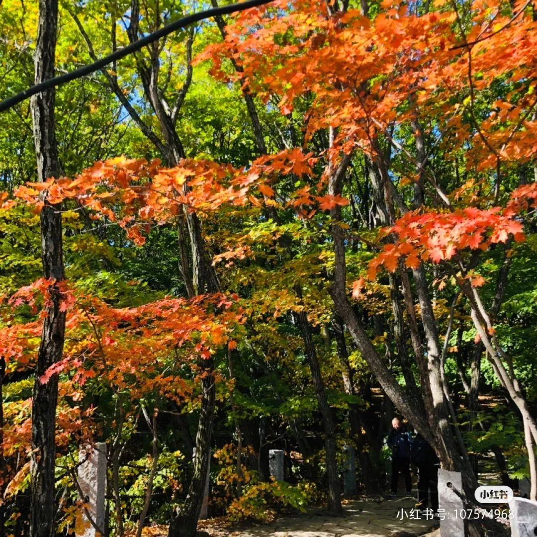 本溪好玩的地方排名_本溪好玩的景点_本溪附近景区哪里好玩