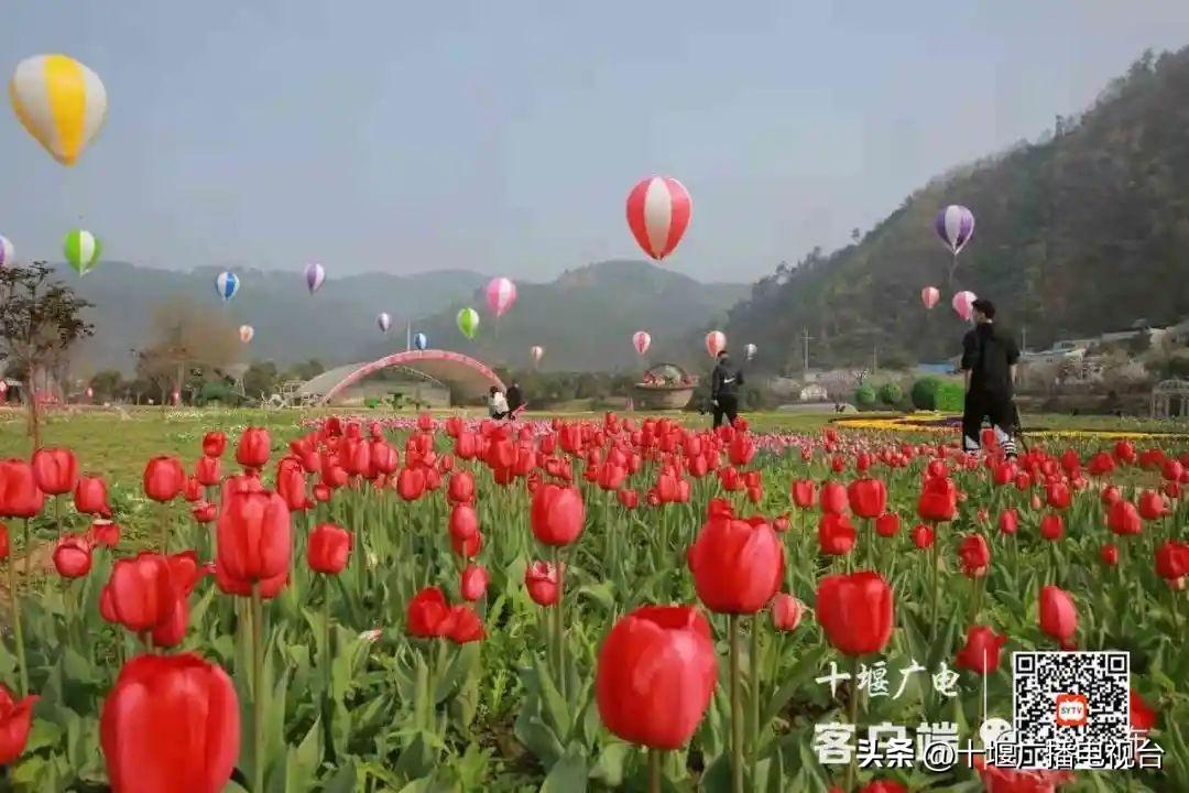 江西萍乡武功山旅游攻略_江西宏村旅游攻略_江西小武当山旅游攻略