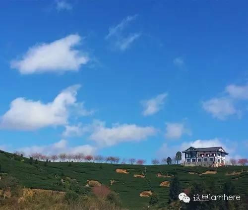 龙岩至漳平红尖山_龙岩红尖山旅游攻略_龙岩红尖山 张玉宝