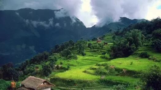 龙岩红尖山旅游攻略_龙岩红尖山雪景_龙岩红尖山旅游攻略