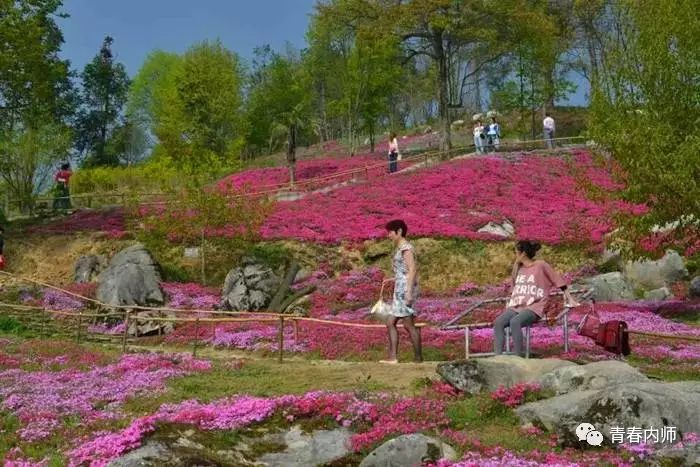 江油窦团山旅游攻略_窦团山江油窦团山_江油窦团山游玩攻略