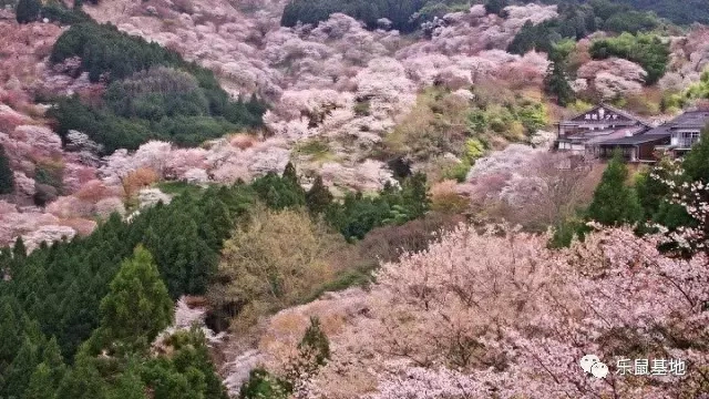 国外的鱼_国外观赏鱼_国外景点鱼片