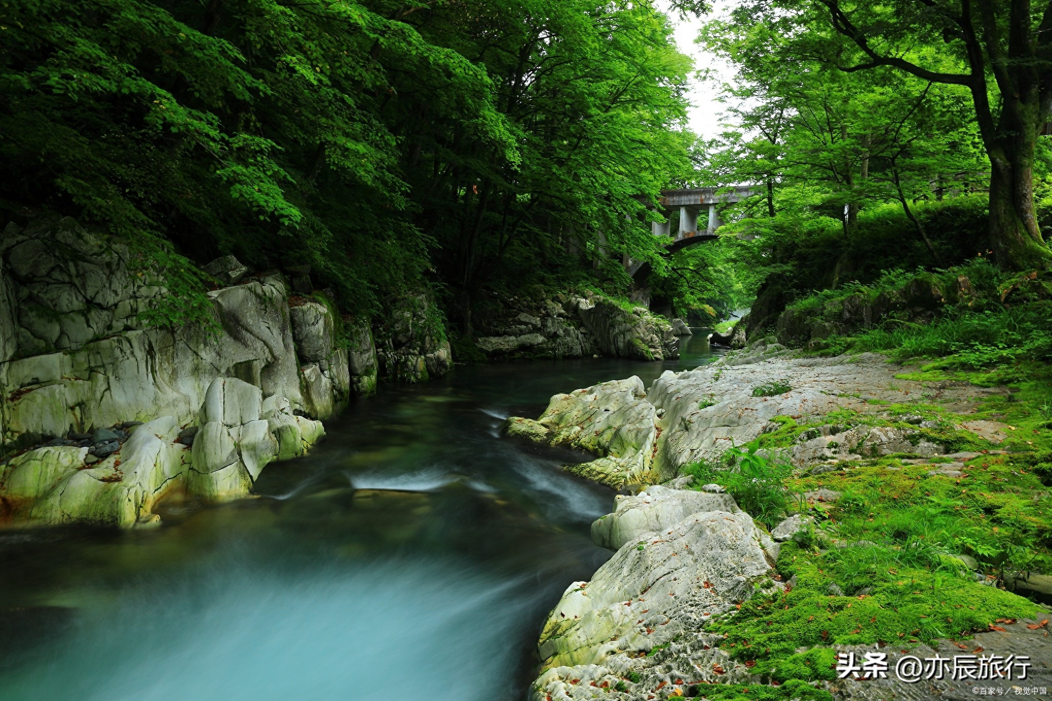 宁波九龙湖旅游攻略_宁波九龙湖景点有哪些好玩的_宁波九龙湖旅游景点