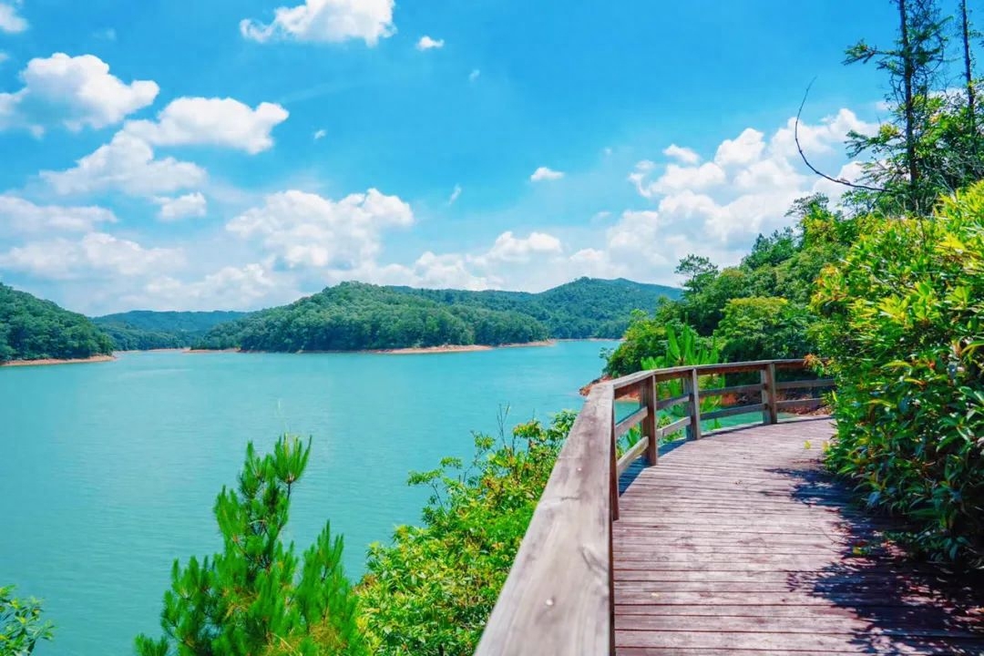 宁波九龙湖旅游景点_宁波风景区九龙湖_宁波九龙湖旅游攻略