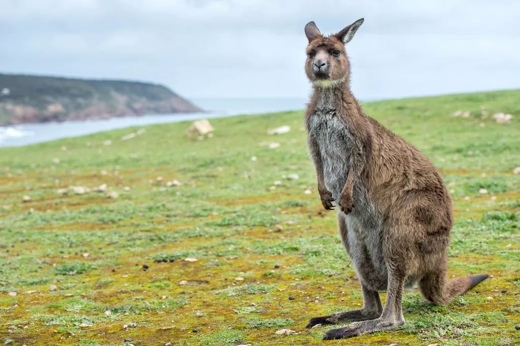 过年国外旅游好去哪里玩_过年国外旅游去哪里好_过年国外旅游好去吗