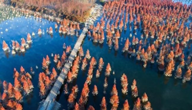 大山旅游景点_大山包旅游攻略_去大山包玩一趟大概需要多少钱