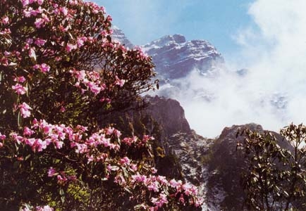 大山包旅游攻略_大山旅行_去大山包玩一趟大概需要多少钱