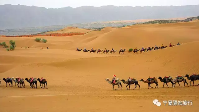 青铜峡旅游区游玩攻略_青铜峡旅游攻略一日游_青铜峡旅游景点攻略