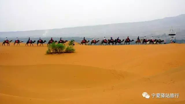 青铜峡旅游攻略一日游_青铜峡旅游区游玩攻略_青铜峡旅游景点攻略