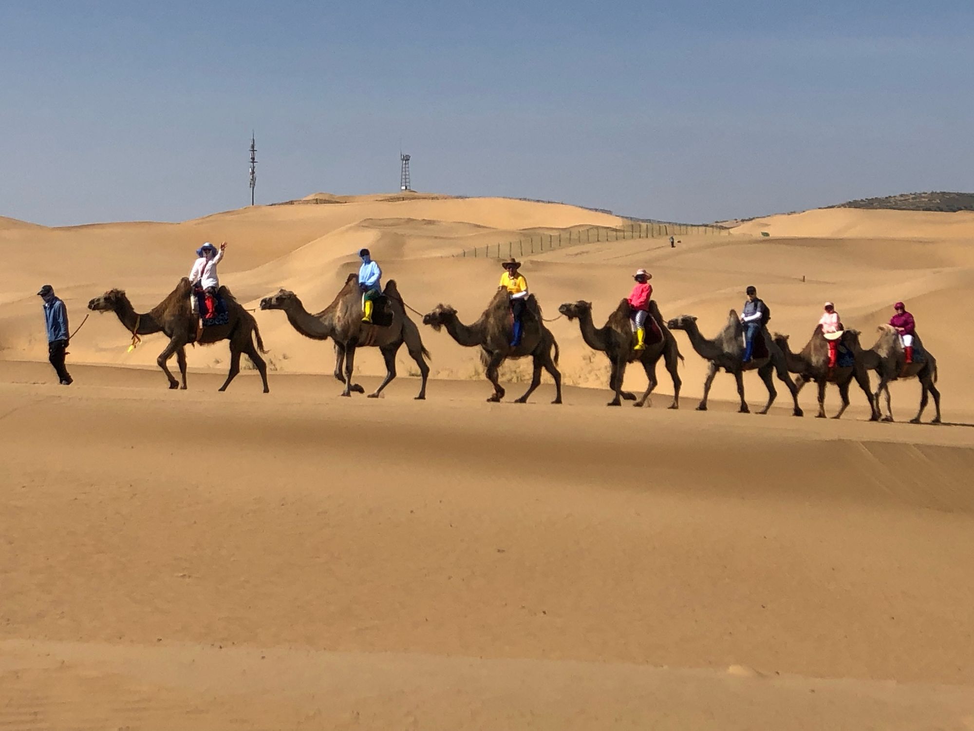 青铜峡旅游景点攻略_青铜峡旅游区游玩攻略_青铜峡旅游攻略一日游