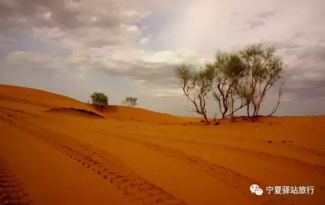 青铜峡旅游景点攻略_青铜峡旅游区游玩攻略_青铜峡旅游攻略一日游