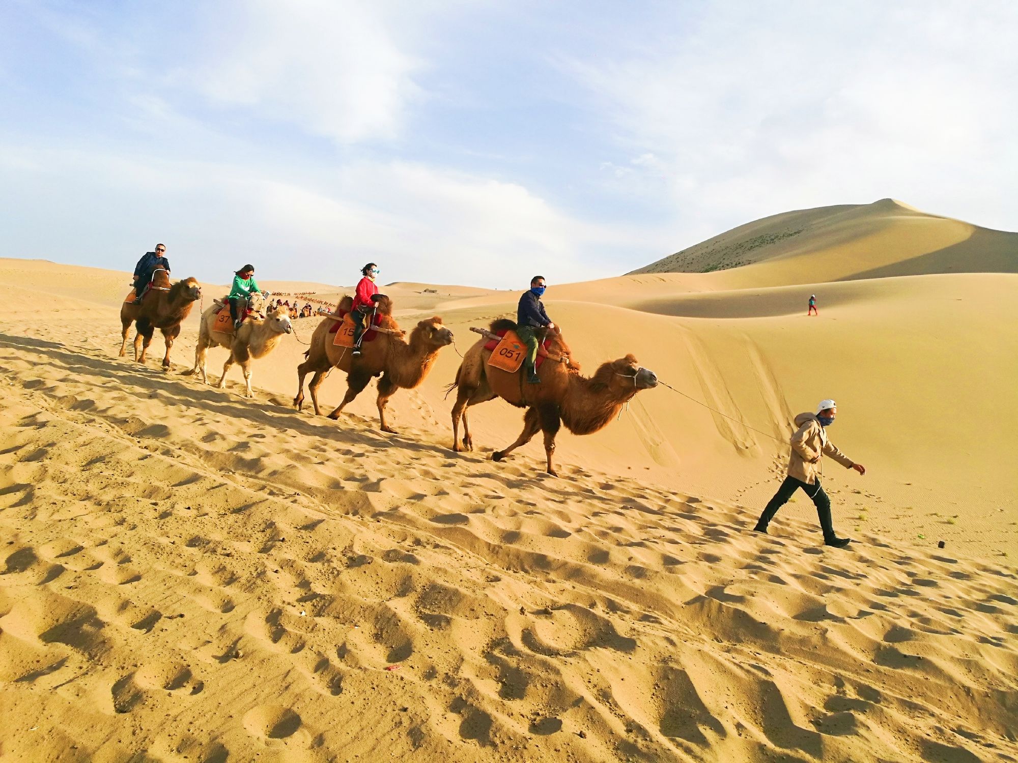 青铜峡旅游景点攻略_青铜峡旅游攻略一日游_青铜峡旅游区游玩攻略