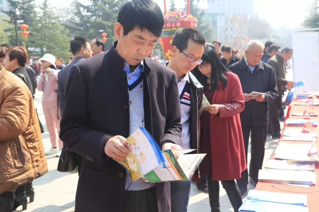 汉中油菜花最佳观景点_汉中油菜花旅游攻略_汉中油菜花具体位置