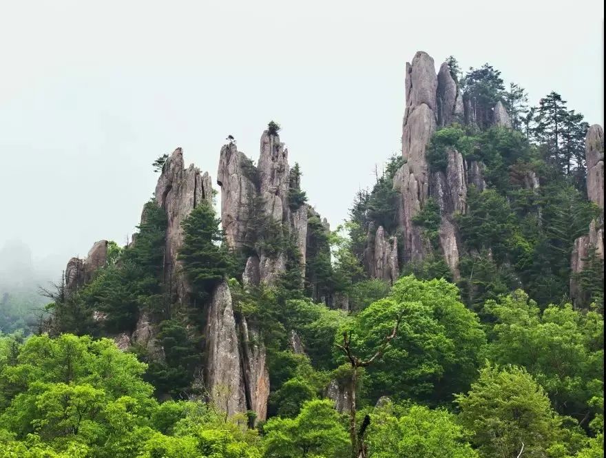 中国在多极化格局中的作用_宝鸡通天河国家森林公园与紫柏山景区哪个好玩_口干舌燥吃牛黄解毒片有用吗