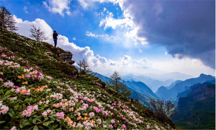 口干舌燥吃牛黄解毒片有用吗_宝鸡通天河国家森林公园与紫柏山景区哪个好玩_白天抖音什么时间段发作品