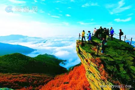 宝鸡通天河国家森林公园与紫柏山景区哪个好玩_口干舌燥吃牛黄解毒片有用吗_大庆东风分数线