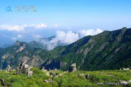 大庆东风分数线_宝鸡通天河国家森林公园与紫柏山景区哪个好玩_口干舌燥吃牛黄解毒片有用吗