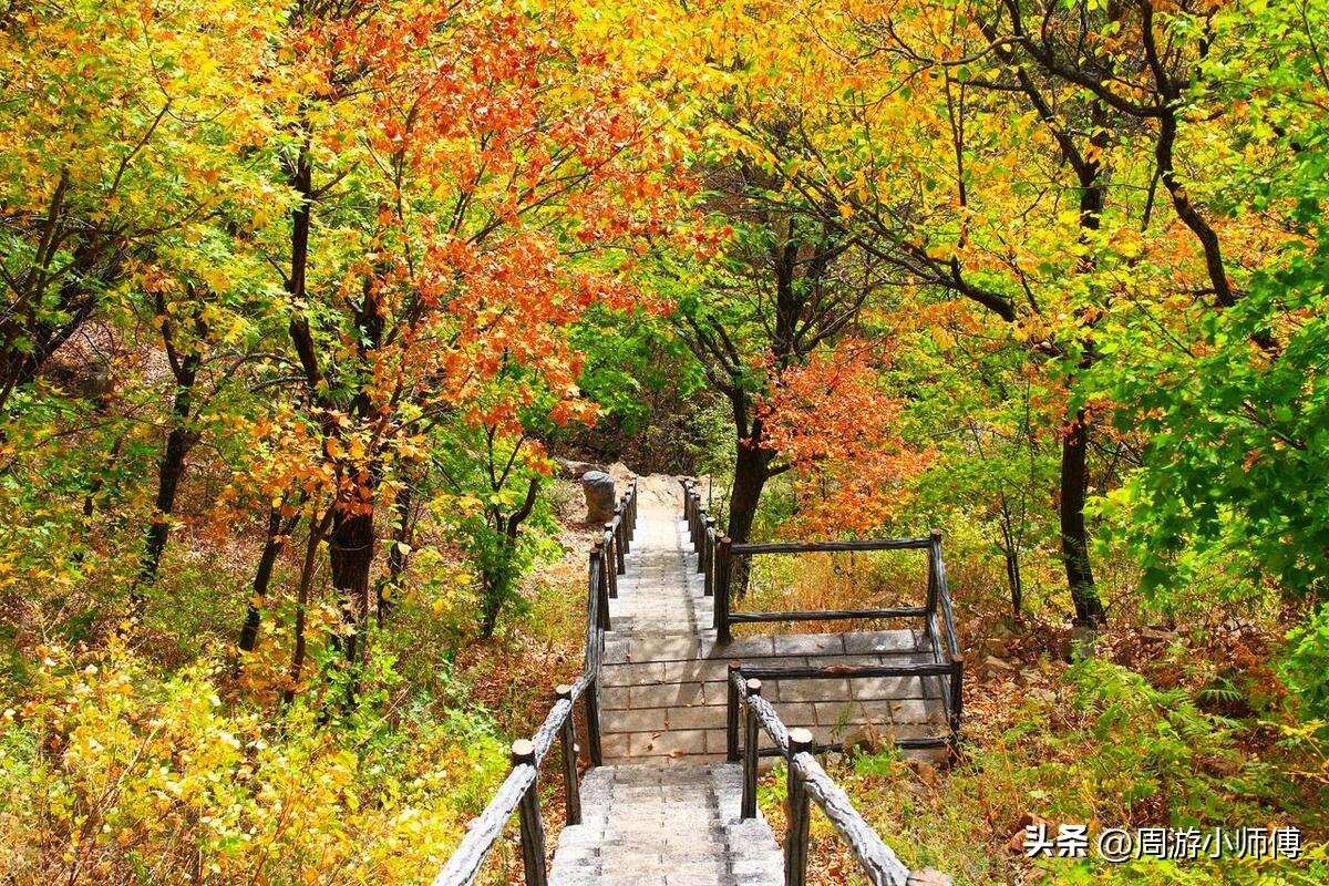 大连旅顺旅游攻略_大连旅游必去景点旅顺_大连旅顺旅游攻略自助游