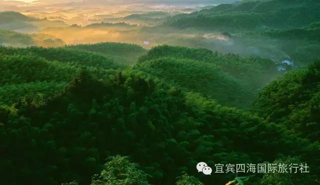 2021蜀南竹海门票多少钱_蜀南竹海旅游攻略一日游_2020蜀南竹海免门票