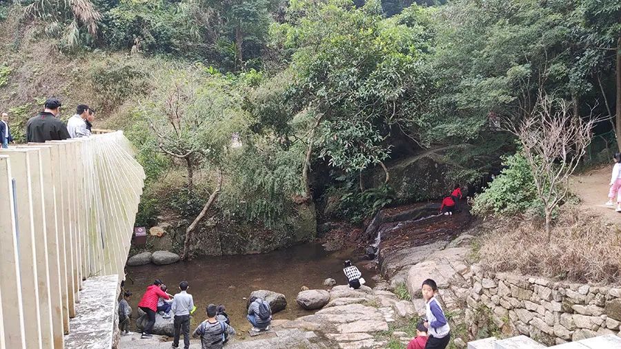 好玩深圳区地方有哪些_深圳有哪些好玩的地方哪些区_好玩深圳区地方有什么