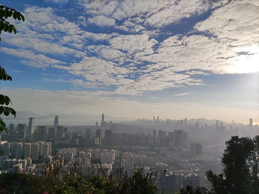 好玩深圳区地方有哪些_深圳有哪些好玩的地方哪些区_好玩深圳区地方有什么