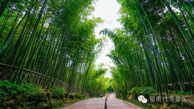 2020蜀南竹海免门票_蜀南竹海旅游攻略一日游_2021蜀南竹海门票多少钱