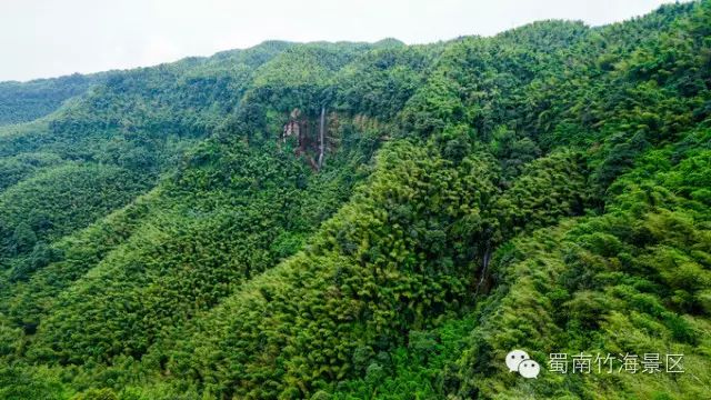 2021蜀南竹海门票多少钱_2020蜀南竹海免门票_蜀南竹海旅游攻略一日游