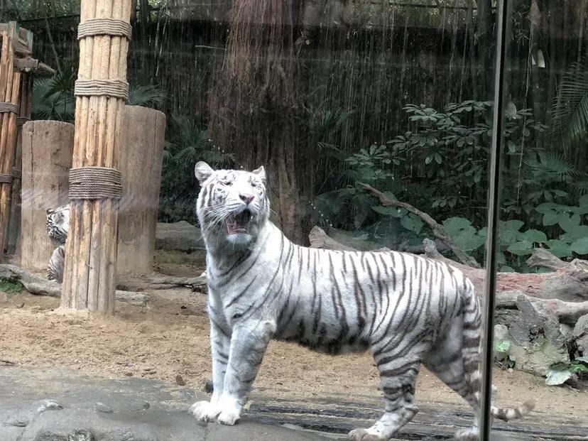 广州附近有什么好玩的景点_南安附近景点哪里好玩_咸阳机场附近好玩景点