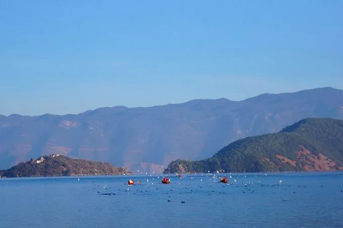 泸沽湖住宿攻略情人树_泸沽湖旅游攻略住宿_泸沽湖旅游攻略住宿