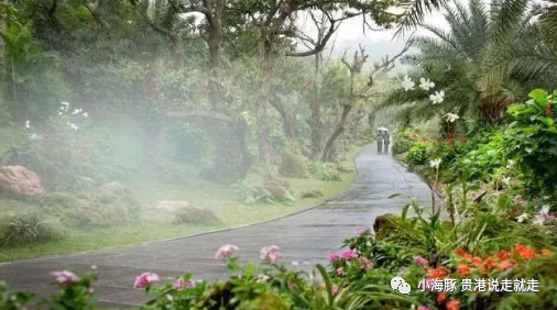 南宁旅游攻略必玩的景点_万隆旅游攻略徐州到常州恐龙园_南宁动物园旅游攻略