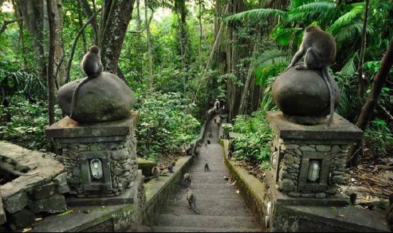 小岛南小岛みなみ_国外小岛旅游_珠海小岛旅游推荐