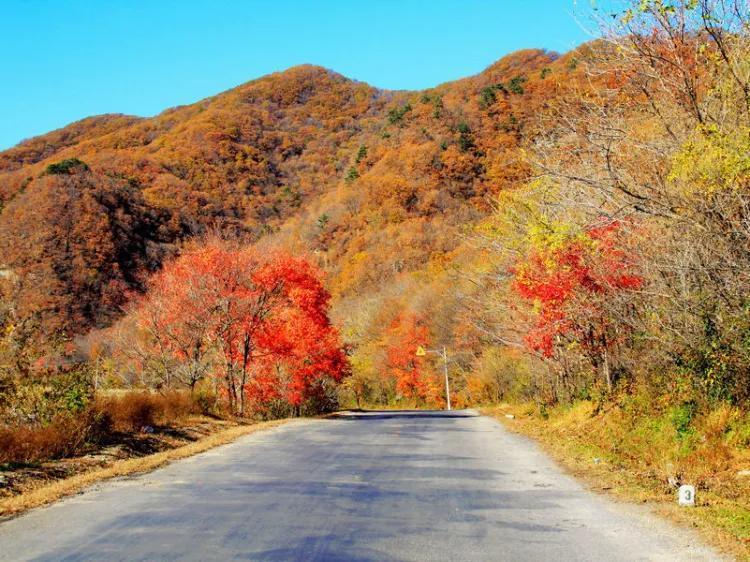 本溪好玩的景点_本溪旅游攻略必玩的景点_本溪不用门票好玩处