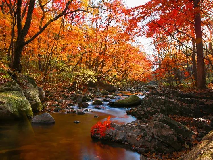 本溪不用门票好玩处_本溪旅游攻略必玩的景点_本溪好玩的景点