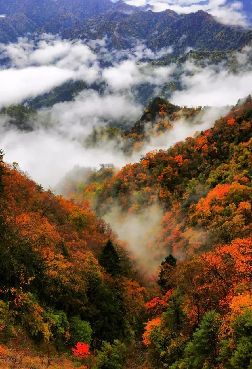 十月出国去哪里旅游好_十月出国旅游最佳地点_十月出国去哪里旅游最好