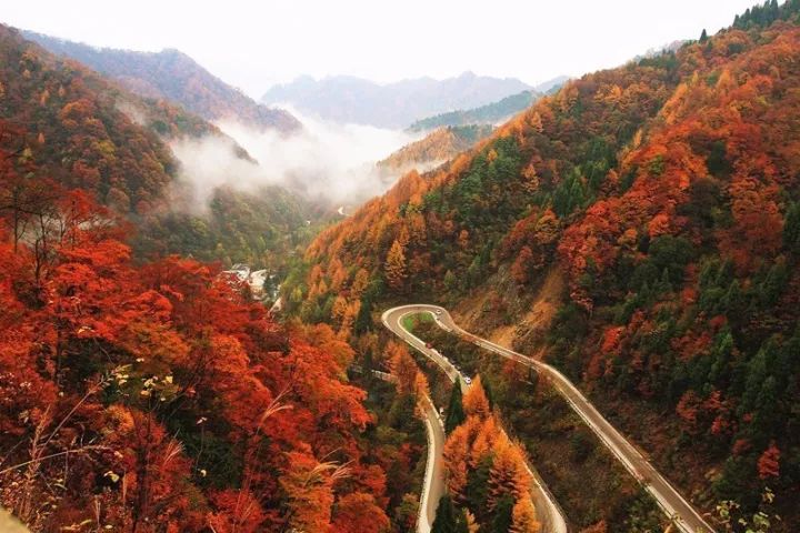 十月出国去哪里旅游最好_十月出国去哪里旅游好_十月出国旅游最佳地点