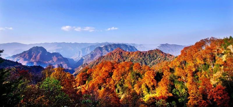 十月出国去哪里旅游好_十月出国去哪里旅游最好_十月出国旅游最佳地点