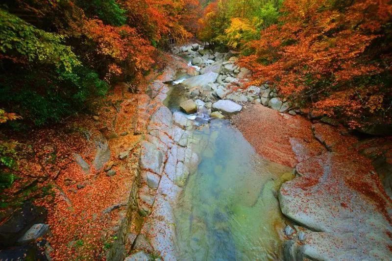 十月出国去哪里旅游好_十月出国去哪里旅游最好_十月出国旅游最佳地点