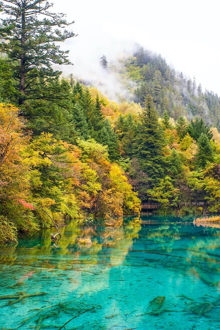 十月出国去哪里旅游最好_十月出国旅游最佳地点_十月出国去哪里旅游好