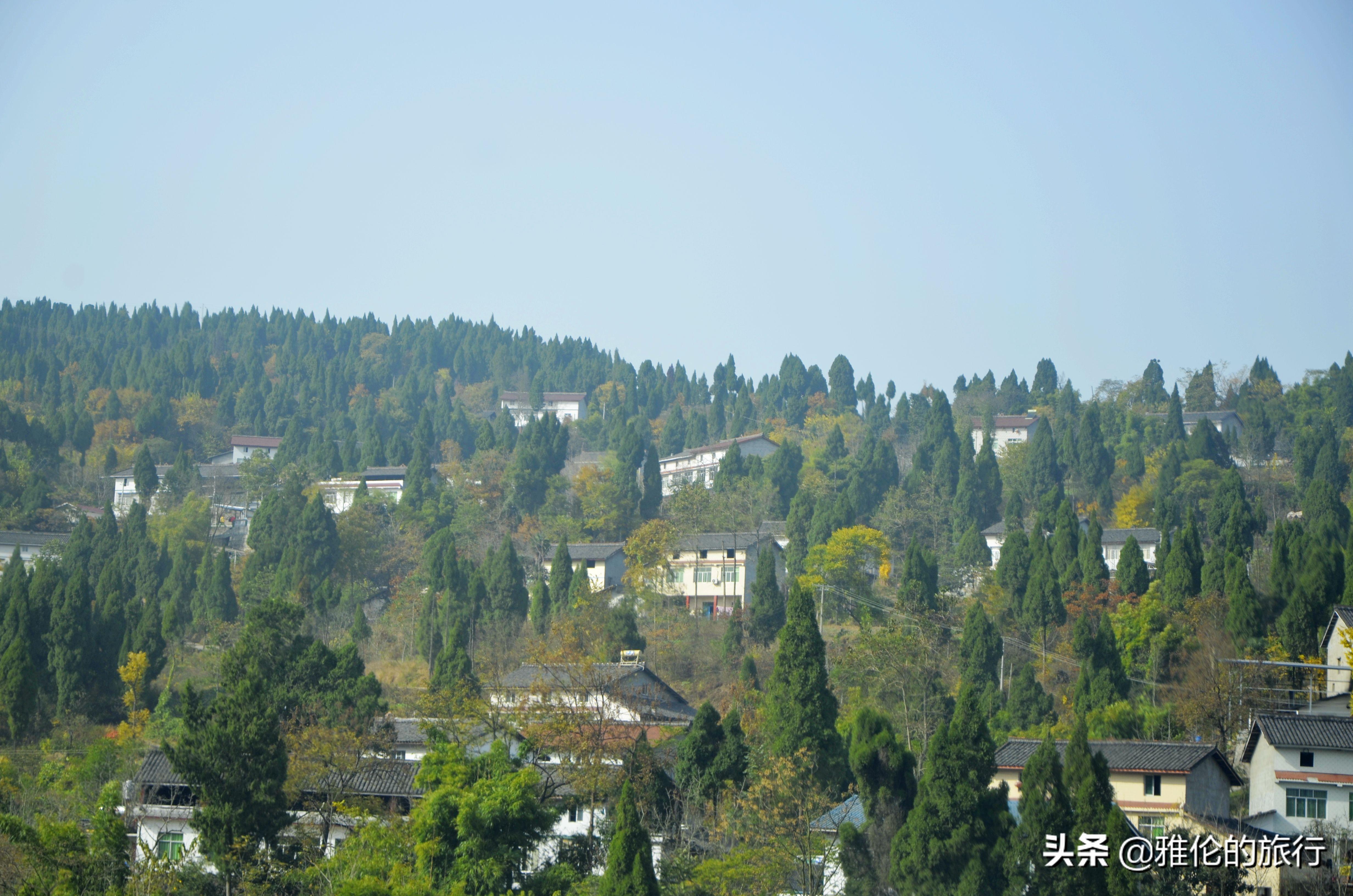 绵阳仙海湖旅游攻略_绵阳 旅游攻略_绵阳药王谷旅游攻略