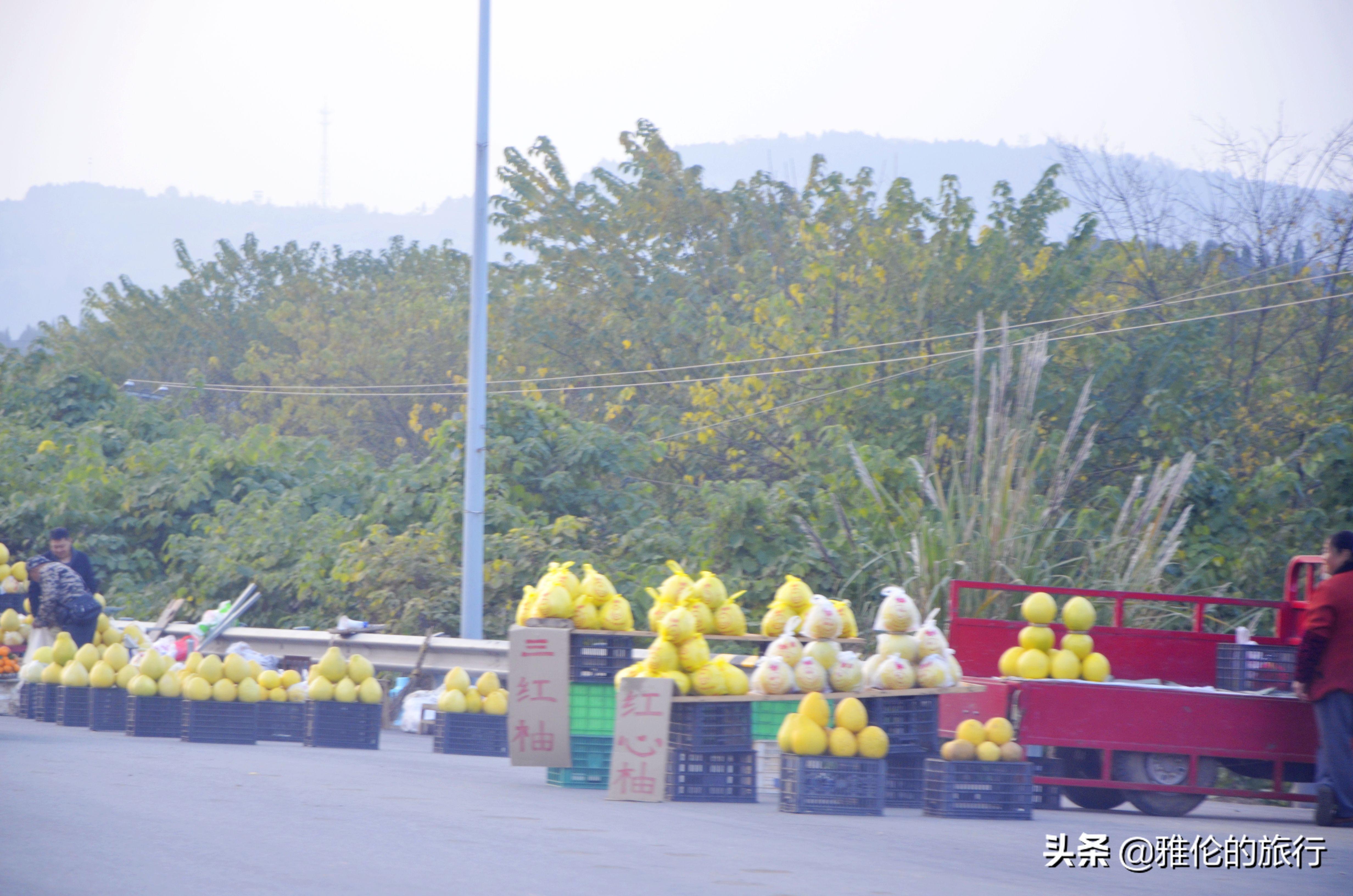 绵阳仙海湖旅游攻略_绵阳药王谷旅游攻略_绵阳 旅游攻略