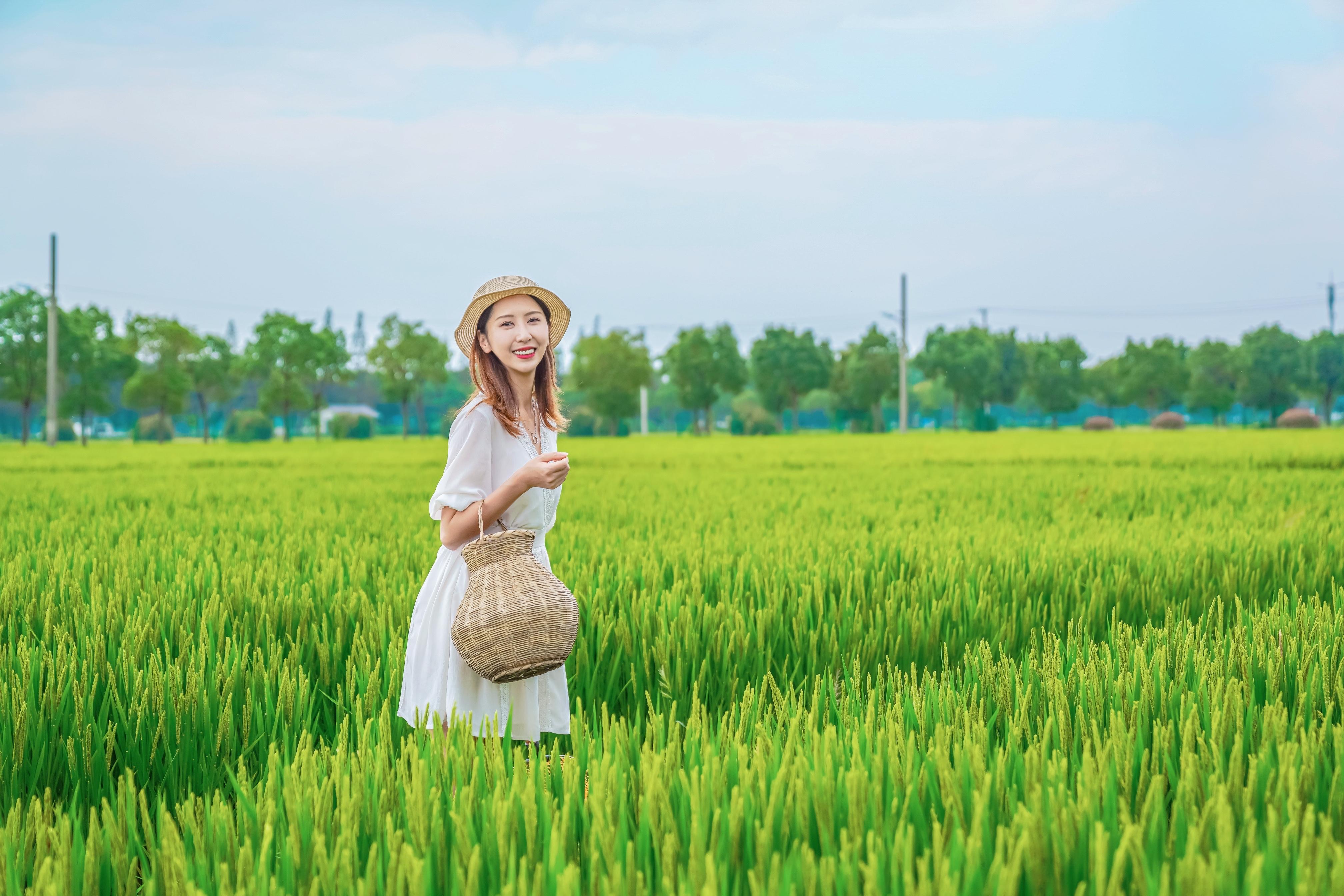 苏州东山银杏旅游攻略_东山银杏王_苏州银杏林在哪个地方