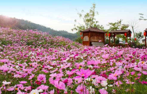 五月国外旅游好去处_五月旅游去哪_5月国外最佳旅游地