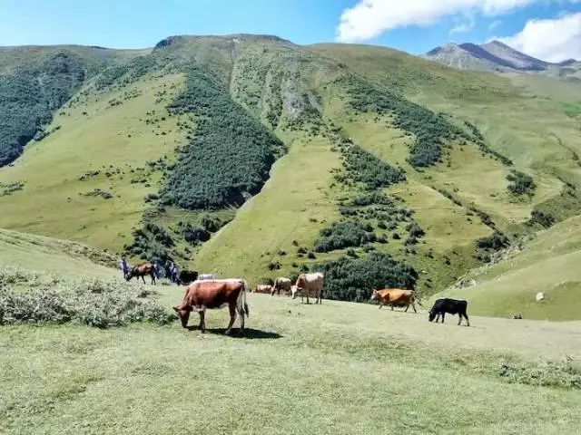 五月去哪个国家旅游好_五月国外旅游好去处_五月国内旅游好去处