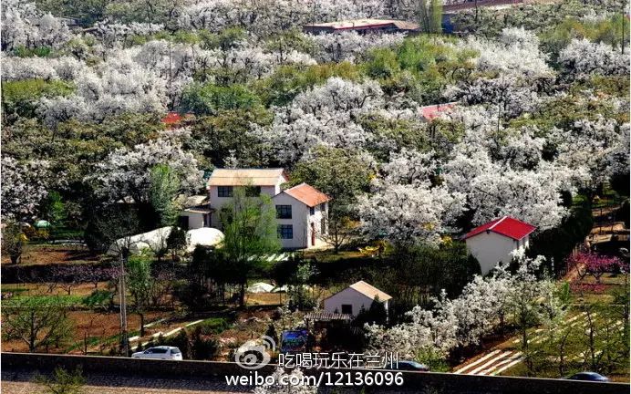 兰州五泉山具体位置_兰州五泉山在哪儿_兰州市五泉山旅游攻略