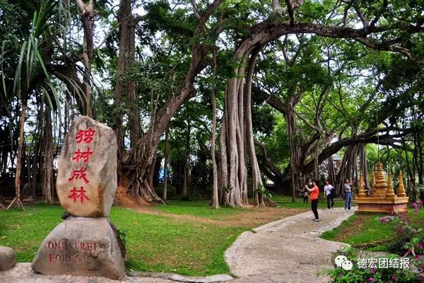 好玩景点瑞丽有哪些_瑞丽有什么好玩的景点_瑞丽游玩景点