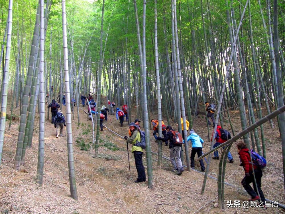 宁波九龙湖风景区游玩攻略_宁波风景区九龙湖_宁波九龙湖旅游攻略